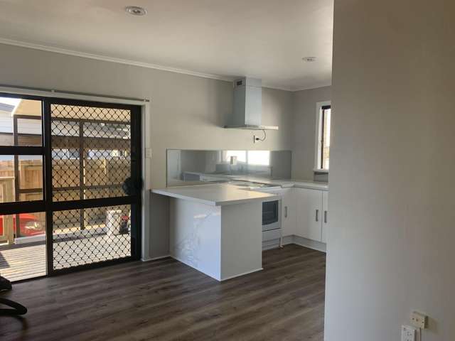 93 Argyll Road Greerton_3