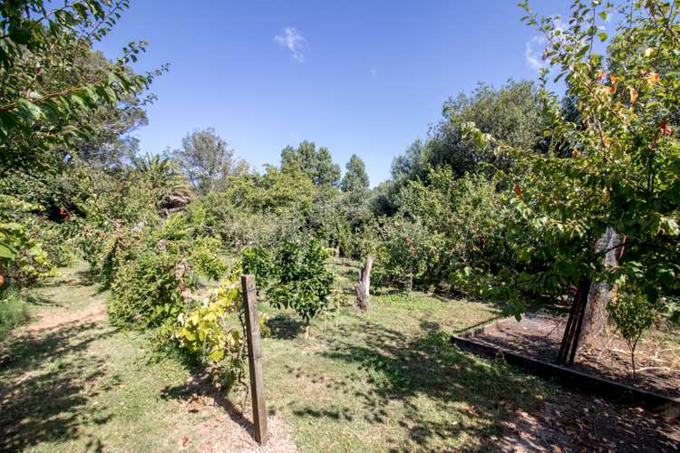 7208 State Highway 26 Paeroa_17