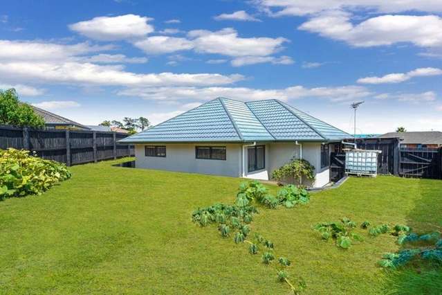 96 Pitt Avenue Clendon Park_3