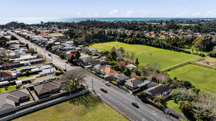 217 Carrington Street Vogeltown_19