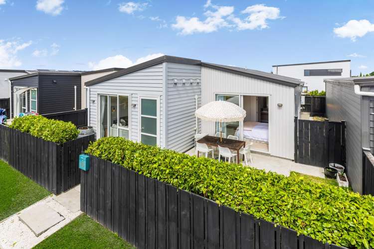 16 Swamp Kauri Grove Papakura_0