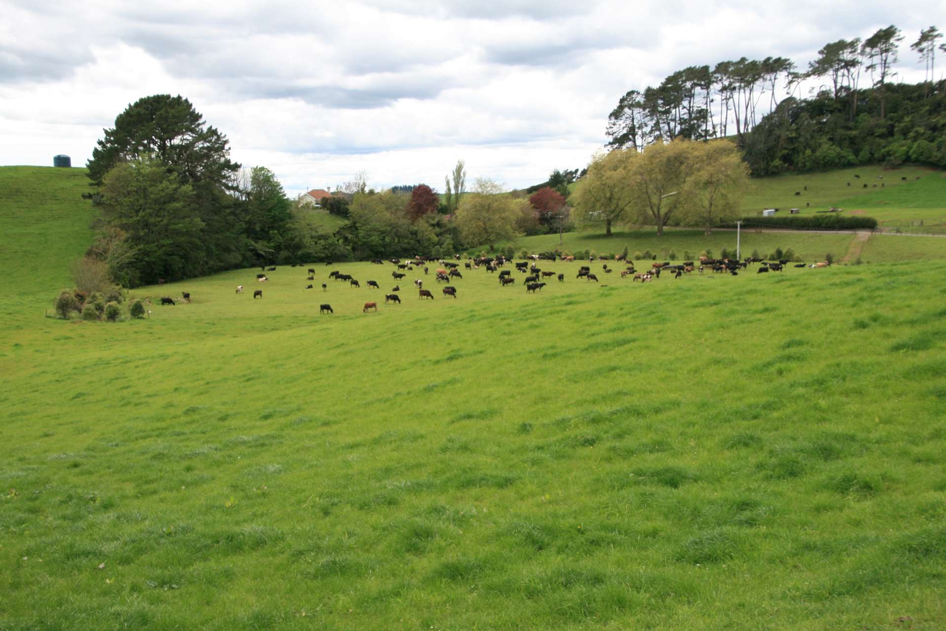 Sold 661 Tarata Road Kaimata New Plymouth on