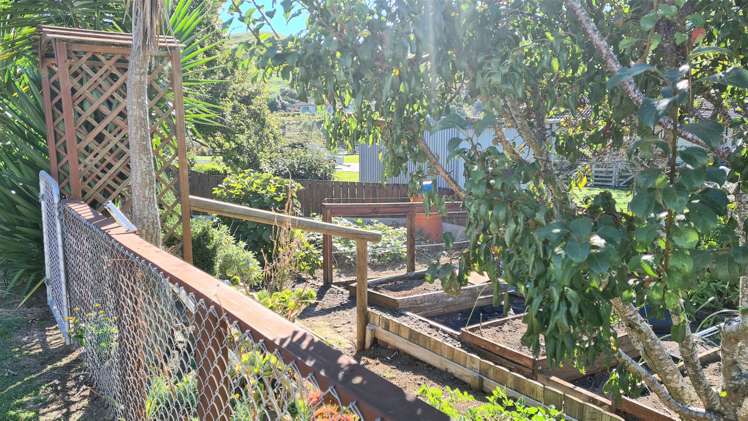 59 Thames Road Paeroa_12