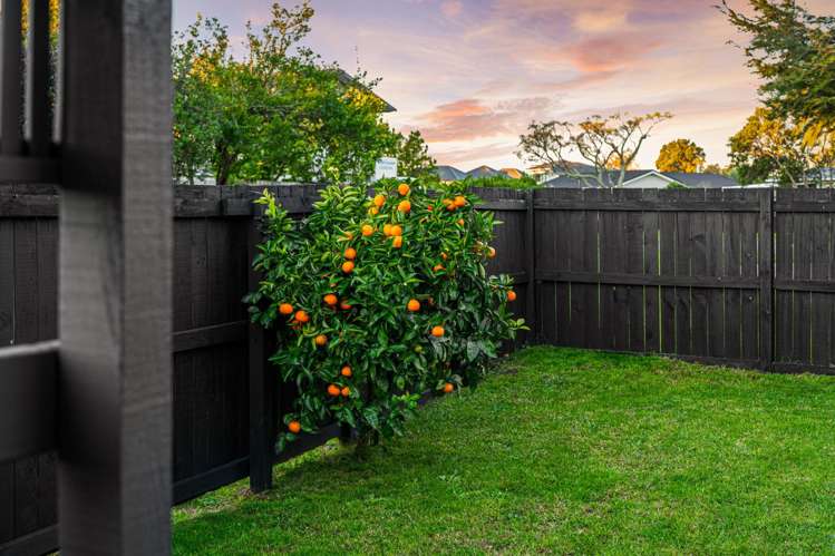 92b Beach Road Te Atatu Peninsula_17