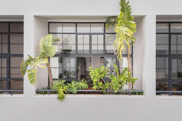 8/34 Pollen Street Grey Lynn_18