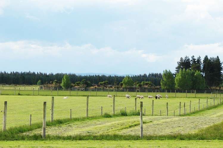 389 Mckenzie Road Winton Surrounds_17