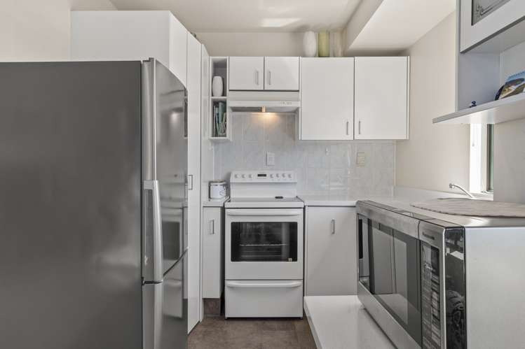 66 Harrisfield Drive Hairini_10