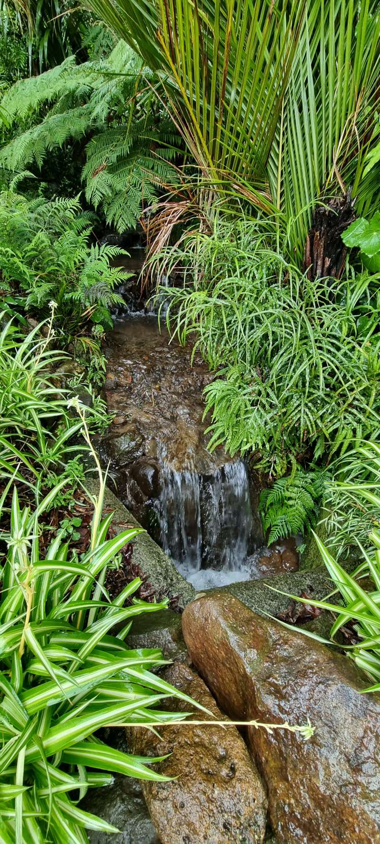 17 Granfield Place Kamo_37