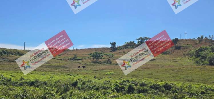 Address withheld Nadi_16