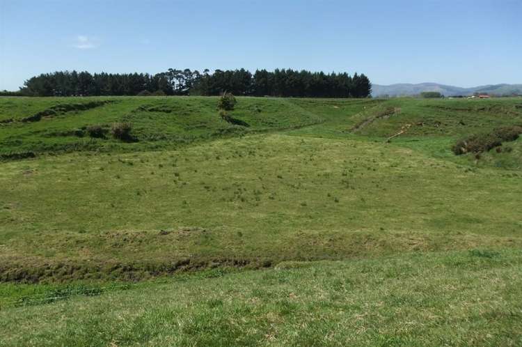 24 Ryland Park Levin_12