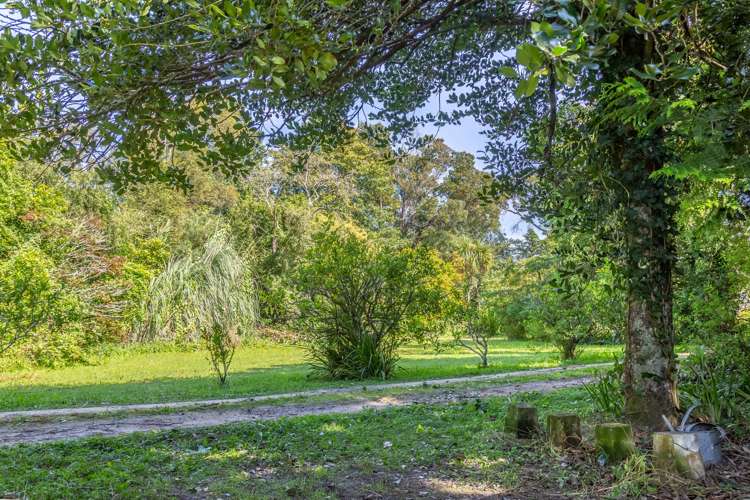 Lot 1, 21 Udy Street - Section Greytown_3