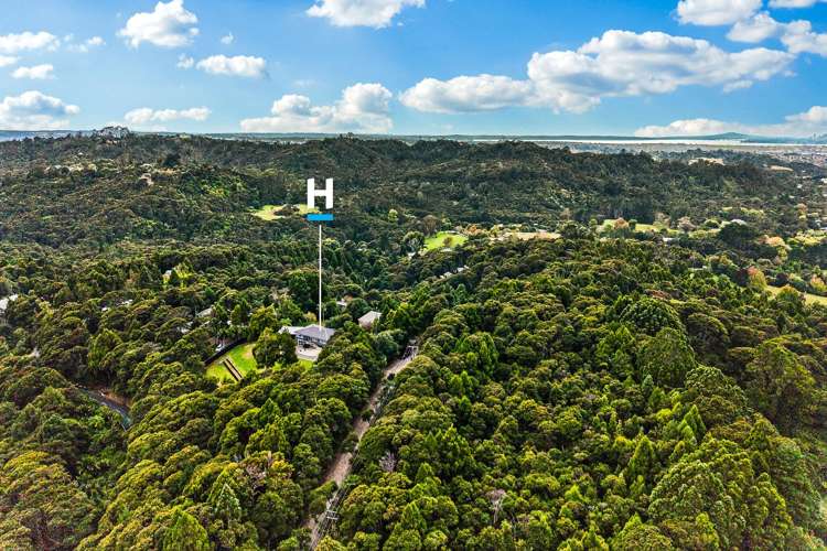 6 Walker Road Henderson Valley_32