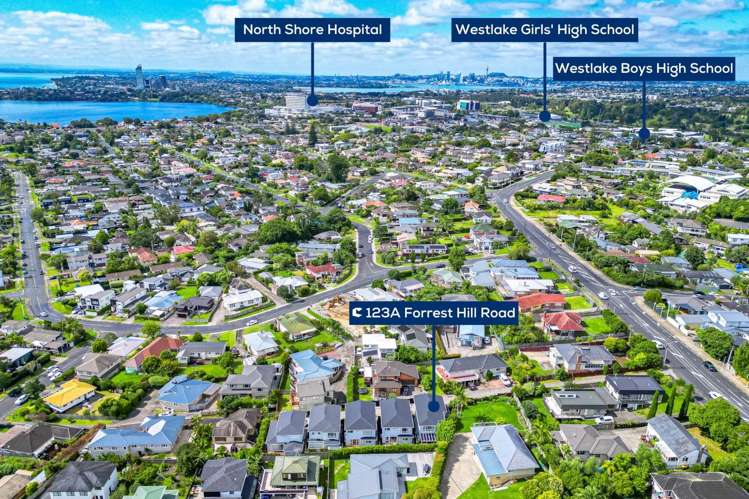 123A Forrest Hill Road Forrest Hill_21