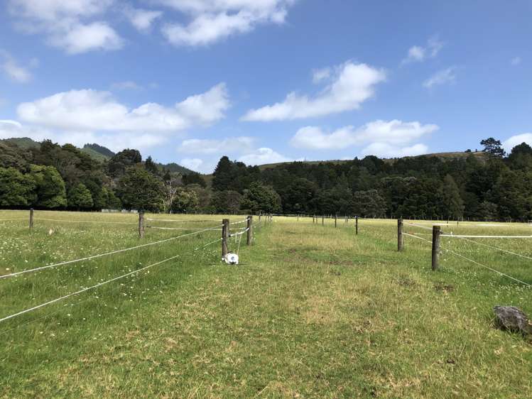 3609 State Highway 10 Kaeo_10