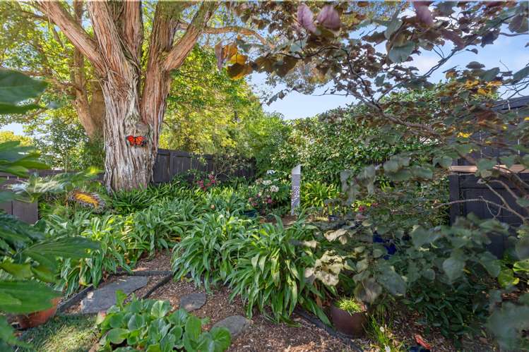 34B Woodside Road Mt Eden_13