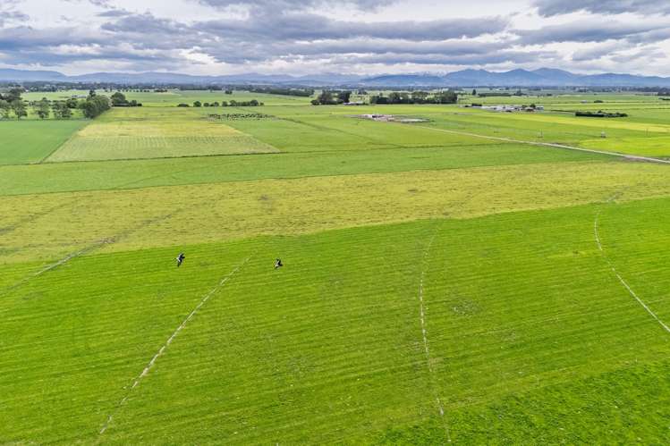 52 White Road Milford_8