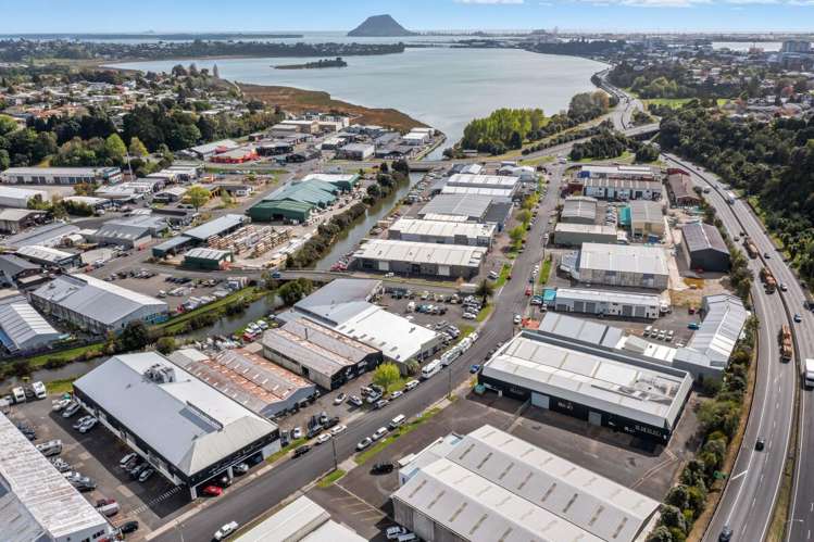 43 Koromiko Street Judea_1