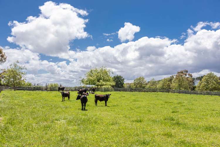 28 Ellett Road Karaka_21