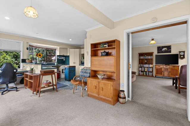 12 Veronica Avenue Marewa_2