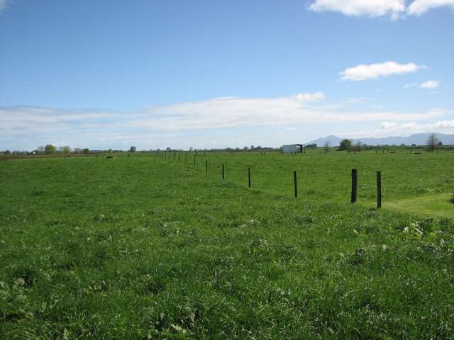 221 Tower Road Matamata_3