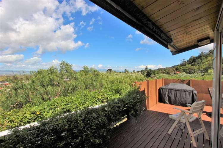 305 Grafton Road Thames_15