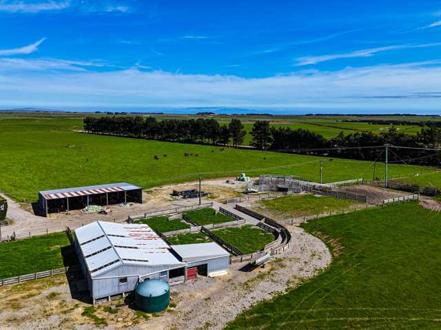 98 Taramoa Plains Road Argyle Corner_2