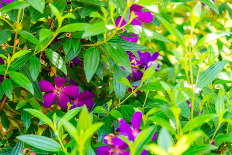 7b Halyard Way Mangawhai_38