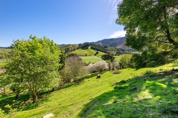 525 State Highway 1 Koromiko_22