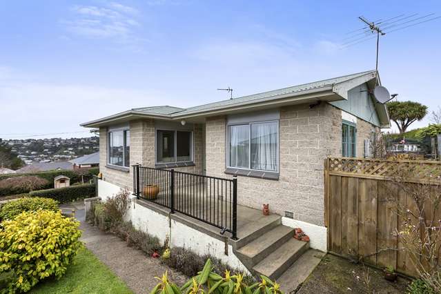 23a Hood Street Wakari_1