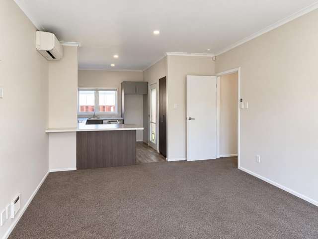 60A Galloway Street Hamilton East_4