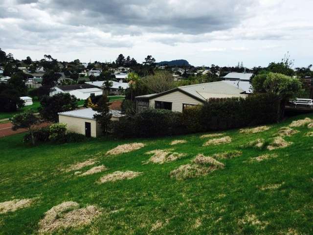 61 Holland Close Pauanui_3