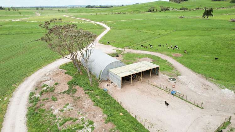 220 Blong Road Ruawai_22