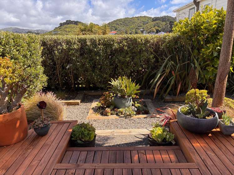 6 Seddon Terrace Newtown_8