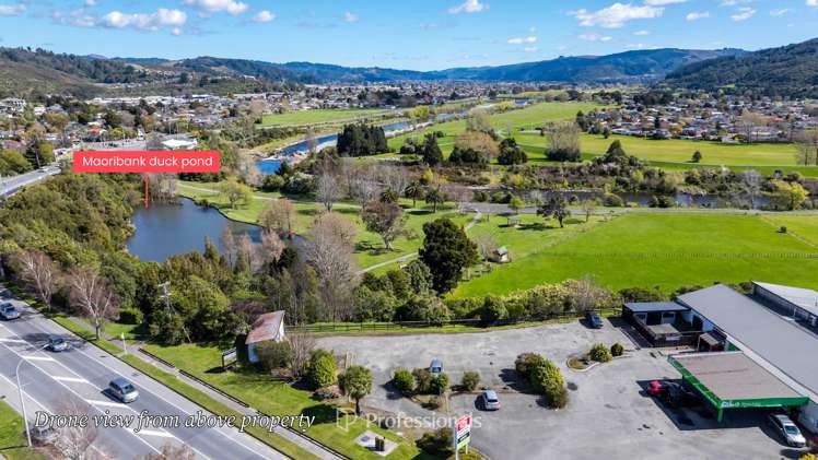 1248 Fergusson Drive Brown Owl_18