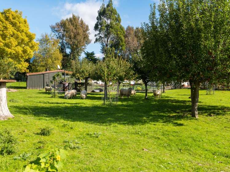 777 State Highway 1 Picton_14