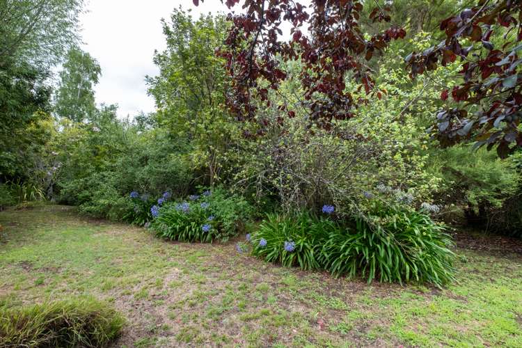 43 Reeve Drive Havelock North_6