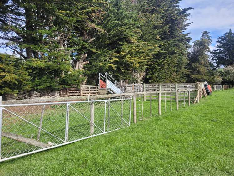 63 Sandford Road Catlins Surrounds_18