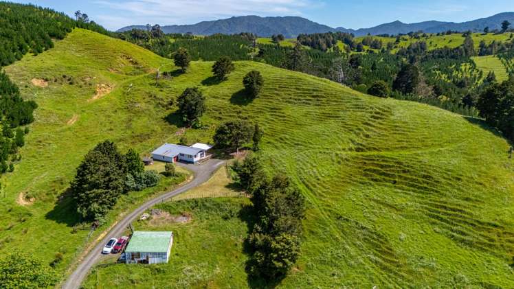 386 Pawarenga Road Broadwood_29