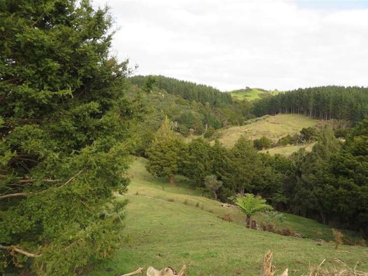 565 Bickerstaffe Road Maungaturoto_0