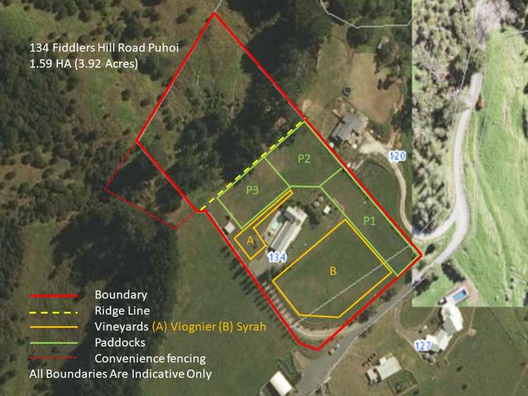 134 Fiddlers Hill Road Puhoi_6