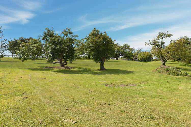 248 Pyes Pa Road Pyes Pa_7