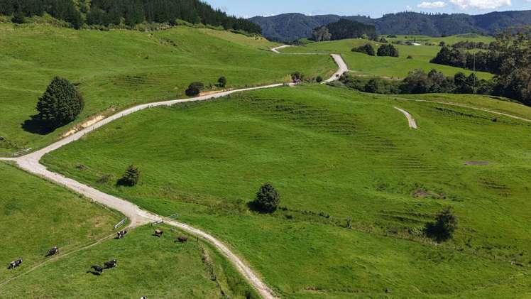 337 Mill Road Kawakawa_14