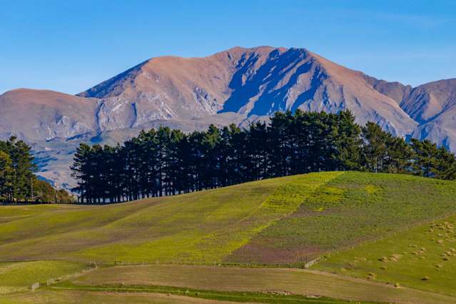 7611 State Highway 1 Ward_2