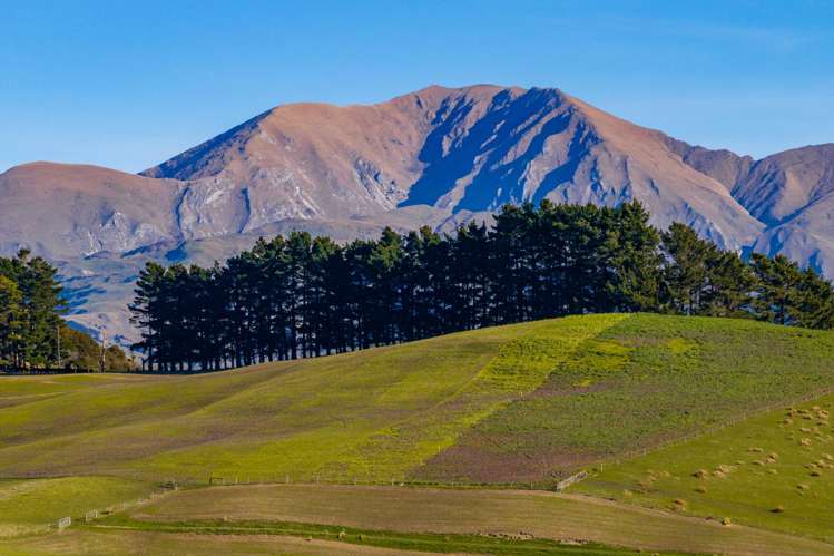 7611 State Highway 1 Ward_2