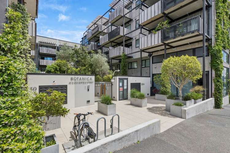 303/30A Enfield Street Mt Eden_21