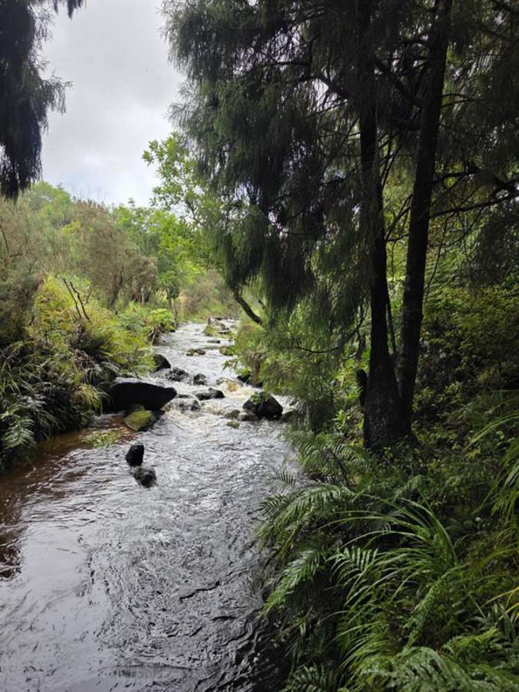 00 Waitaheke Road Ohaeawai_13