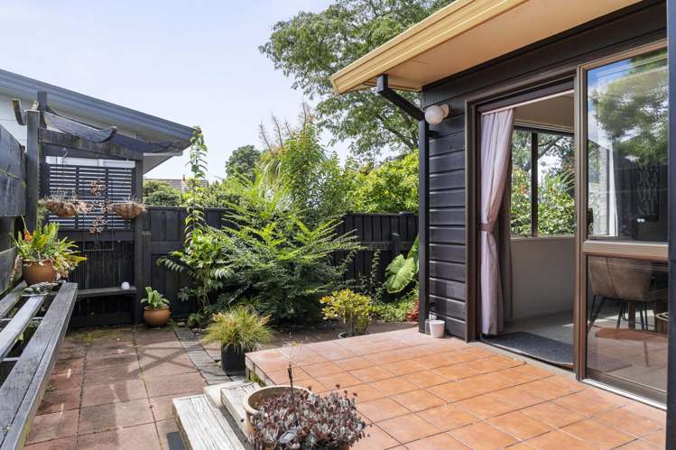 10B Tynan Street Te Puke_10