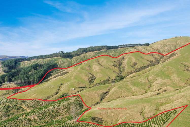 68a Greens Road Linton_1