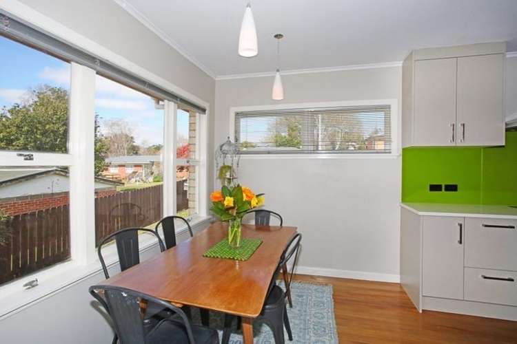3 Lawrie Avenue Pukekohe_6