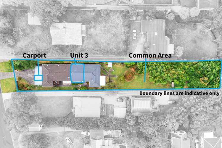 3/113 Seabrook Avenue New Lynn_16